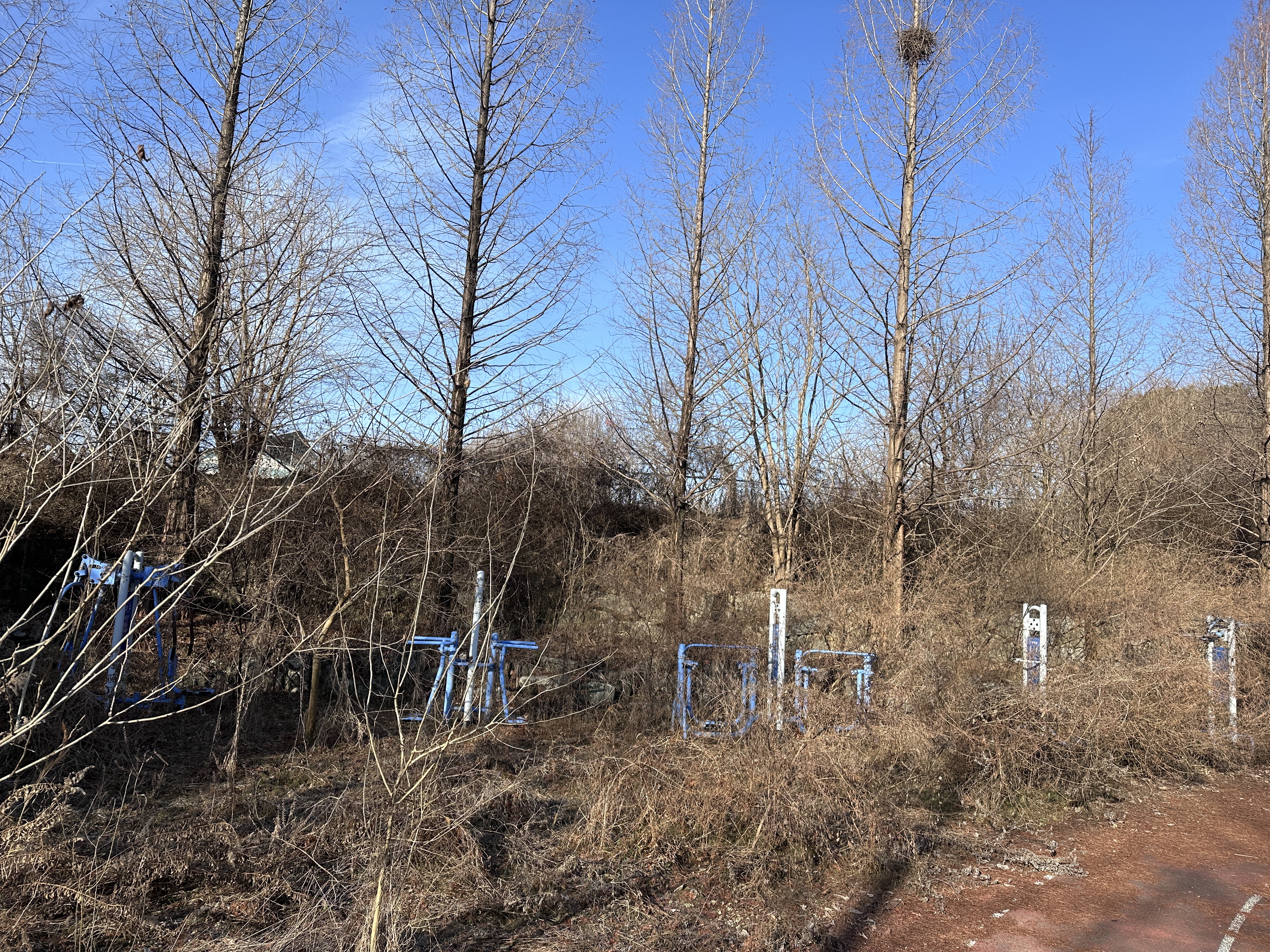 26.1.30_전주시장애인일자리종합타운 예정지_11.JPG